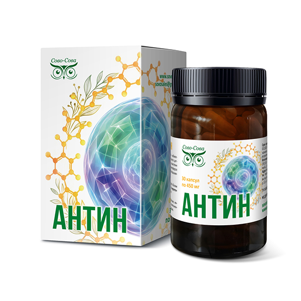антин